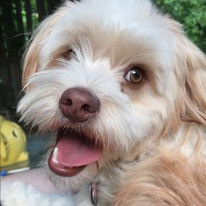 Meet your Posher, Logan